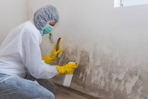 Best Forensic Mold Investigation  in Clearlake Riviera, CA